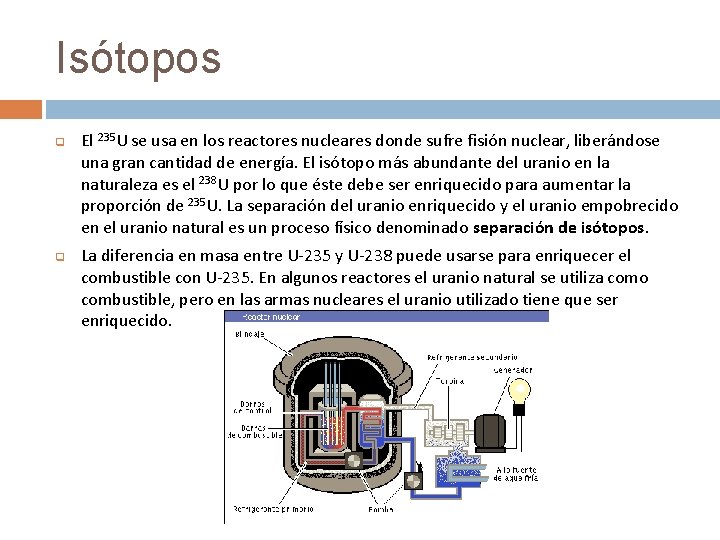 Isótopos q q El 235 U se usa en los reactores nucleares donde sufre