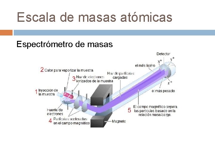 Escala de masas atómicas Espectrómetro de masas 