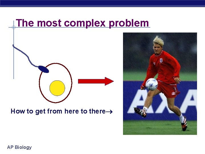 The most complex problem How to get from here to there AP Biology 