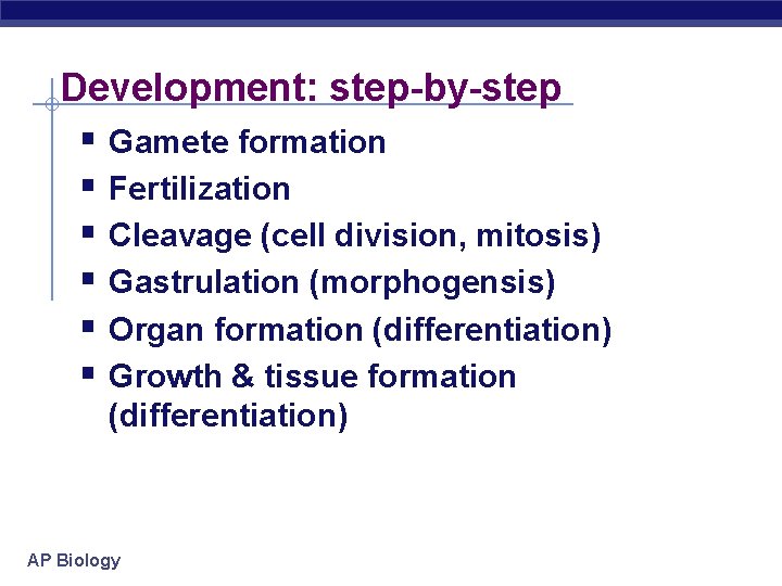 Development: step-by-step § Gamete formation § Fertilization § Cleavage (cell division, mitosis) § Gastrulation