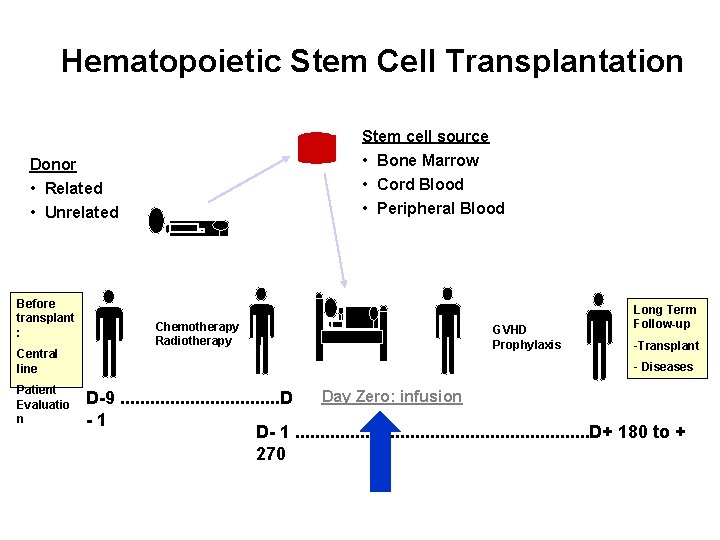 Hematopoietic Stem Cell Transplantation Stem cell source • Bone Marrow • Cord Blood Donor