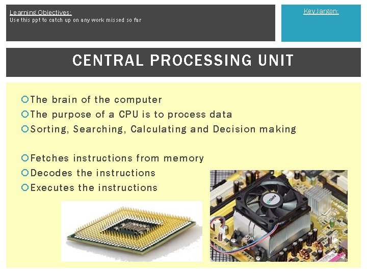 Key Jargon: Learning Objectives: Use this ppt to catch up on any work missed