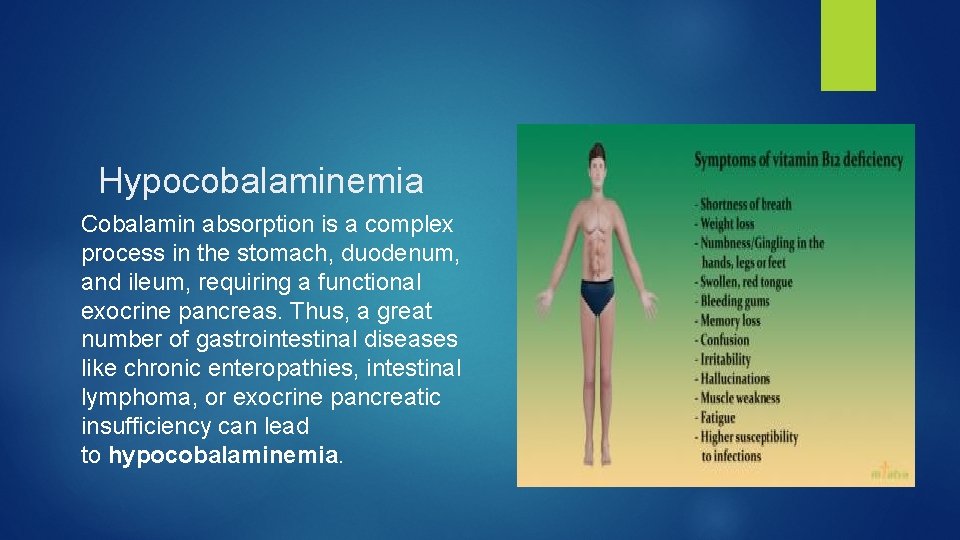 Hypocobalaminemia Cobalamin absorption is a complex process in the stomach, duodenum, and ileum, requiring