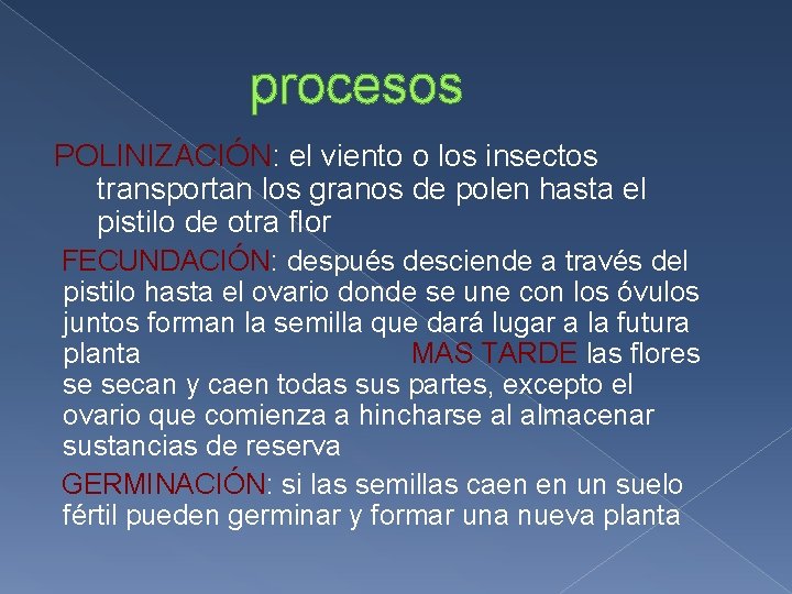 procesos POLINIZACIÓN: el viento o los insectos transportan los granos de polen hasta el