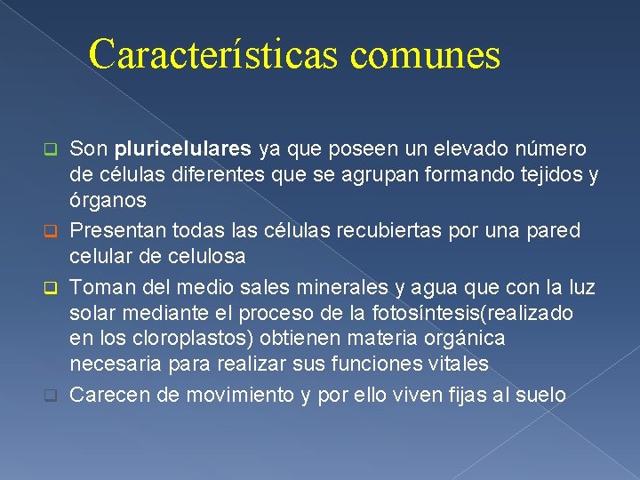 Características comunes Son pluricelulares ya que poseen un elevado número de células diferentes que