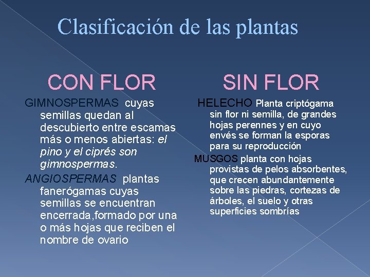 Clasificación de las plantas CON FLOR GIMNOSPERMAS cuyas semillas quedan al descubierto entre escamas