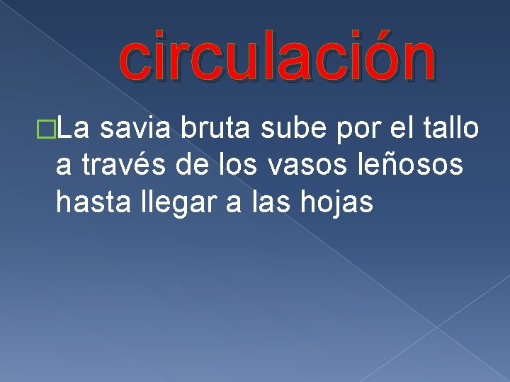 circulación �La savia bruta sube por el tallo a través de los vasos leñosos