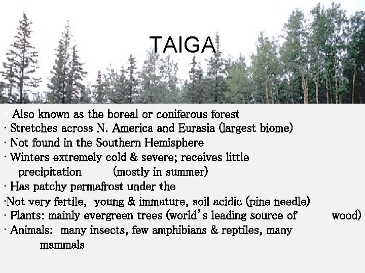 TAIGA • Also known as the boreal or coniferous forest • Stretches across N.