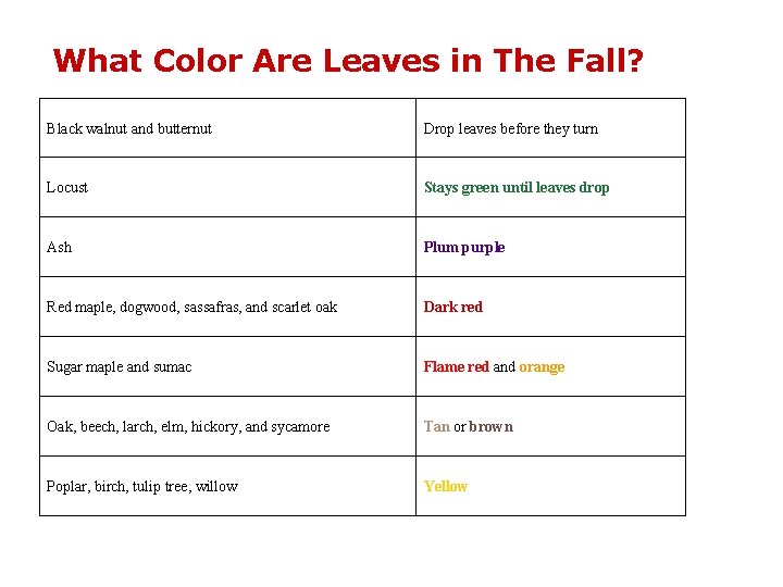 What Color Are Leaves in The Fall? Black walnut and butternut Drop leaves before