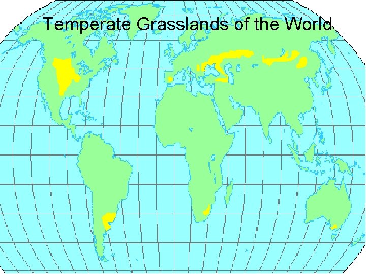 Temperate Grasslands of the World 