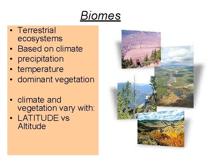 Biomes • Terrestrial ecosystems • Based on climate • precipitation • temperature • dominant