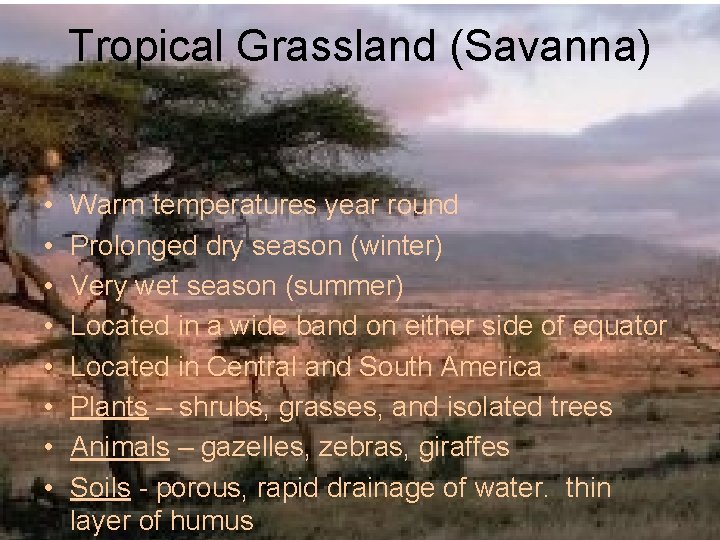 Tropical Grassland (Savanna) • • Warm temperatures year round Prolonged dry season (winter) Very