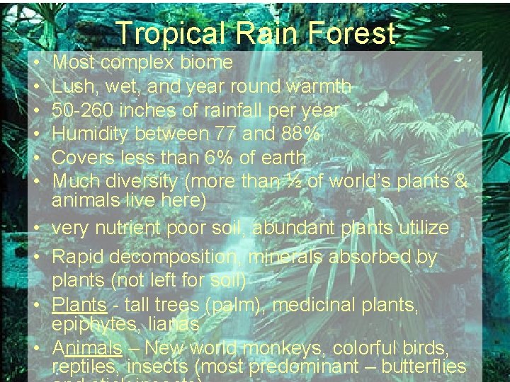Tropical Rain Forest • • • Most complex biome Lush, wet, and year round
