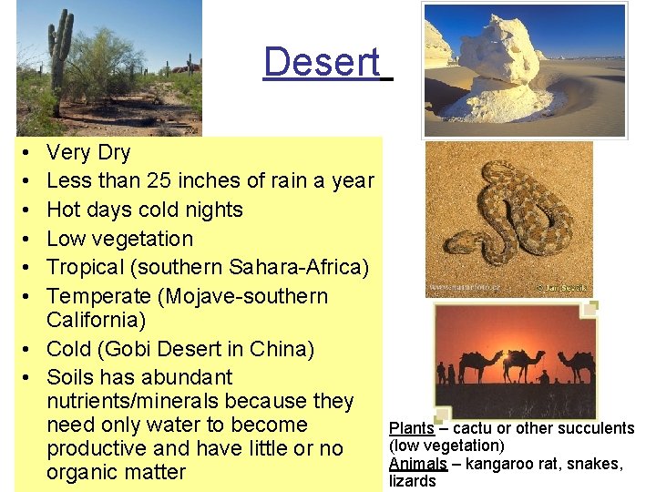 Desert • • • Very Dry Less than 25 inches of rain a year