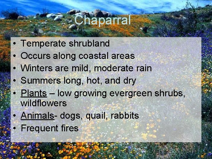 Chaparral • • • Temperate shrubland Occurs along coastal areas Winters are mild, moderate