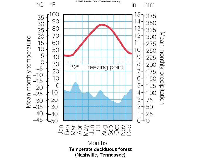 Temperate deciduous forest (Nashville, Tennessee) 