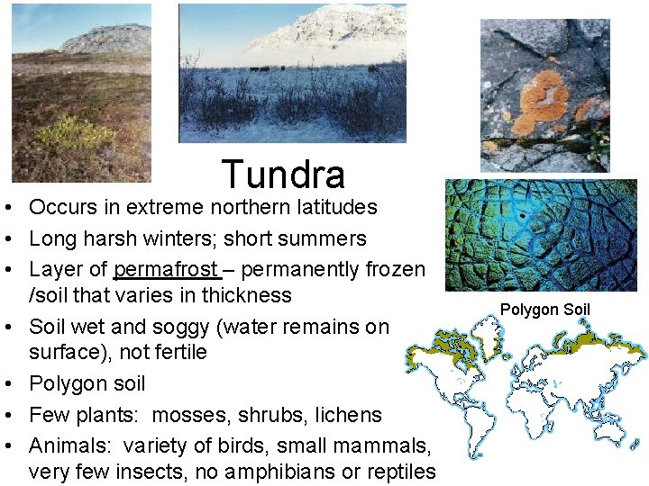 Tundra • Occurs in extreme northern latitudes • Long harsh winters; short summers •