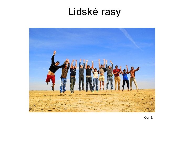 Lidské rasy Obr. 1 