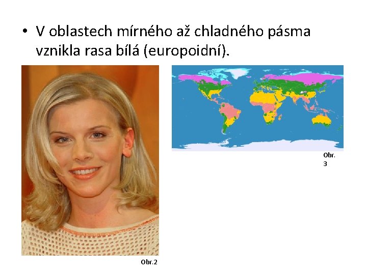  • V oblastech mírného až chladného pásma vznikla rasa bílá (europoidní). Obr. 3