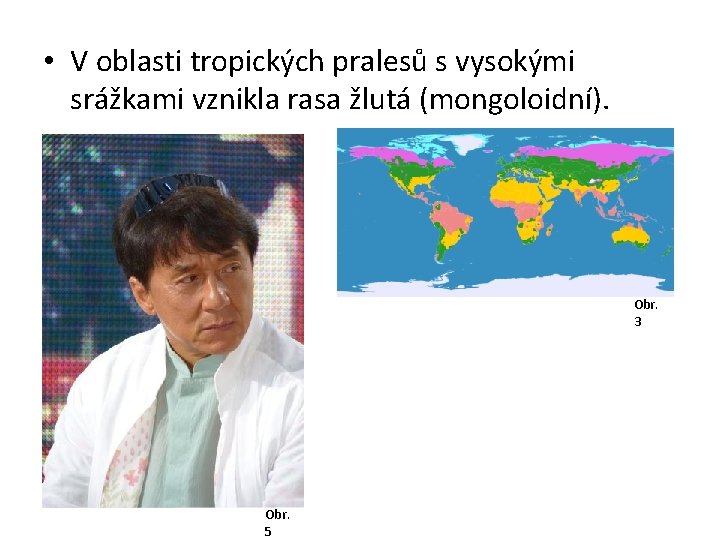  • V oblasti tropických pralesů s vysokými srážkami vznikla rasa žlutá (mongoloidní). Obr.