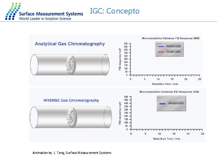IGC: Concepto Animation by L. Teng, Surface Measurement Systems 