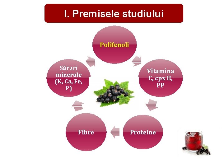 I. Premisele studiului Polifenoli Săruri minerale (K, Ca, Fe, P) Fibre Vitamina C, cpx