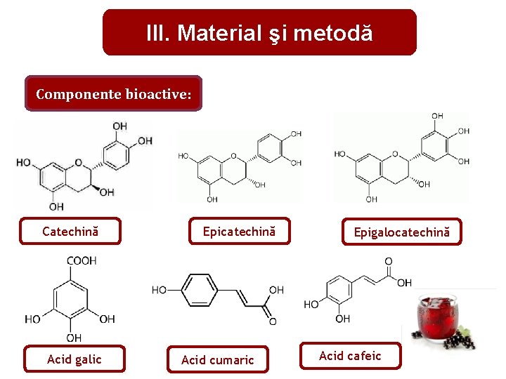 III. Material şi metodă Componente bioactive: Catechină Acid galic Epicatechină Acid cumaric Epigalocatechină Acid