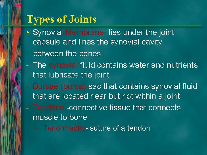 Types of Joints • Synovial Membrane- lies under the joint capsule and lines the