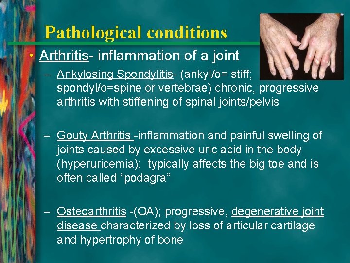 Pathological conditions • Arthritis- inflammation of a joint – Ankylosing Spondylitis- (ankyl/o= stiff; spondyl/o=spine