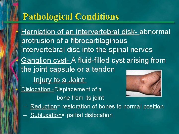 Pathological Conditions • Herniation of an intervertebral disk- abnormal protrusion of a fibrocartilaginous intervertebral