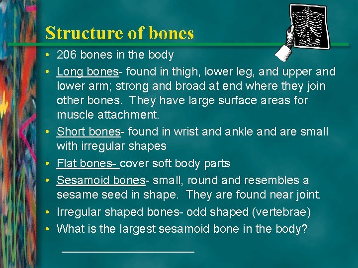 Structure of bones • 206 bones in the body • Long bones- found in