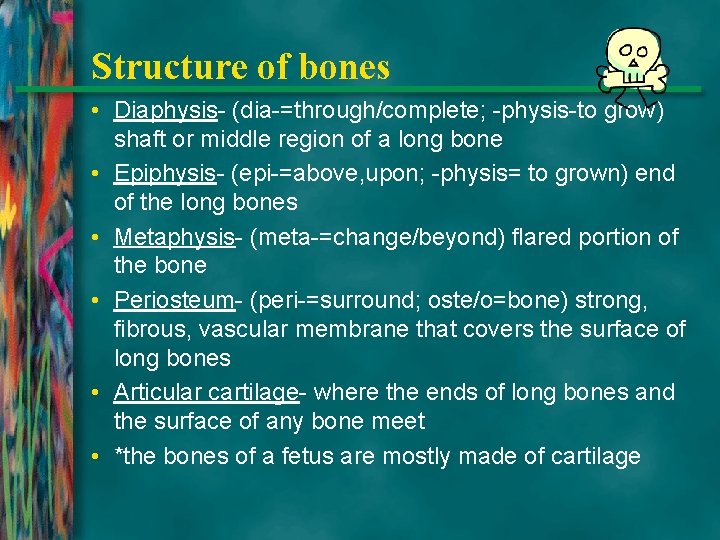 Structure of bones • Diaphysis- (dia-=through/complete; -physis-to grow) shaft or middle region of a