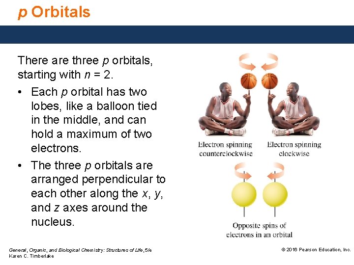 p Orbitals There are three p orbitals, starting with n = 2. • Each