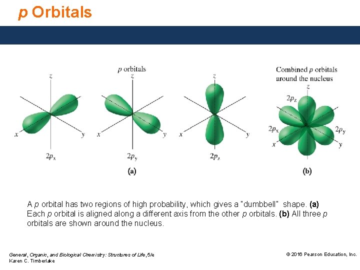 p Orbitals A p orbital has two regions of high probability, which gives a