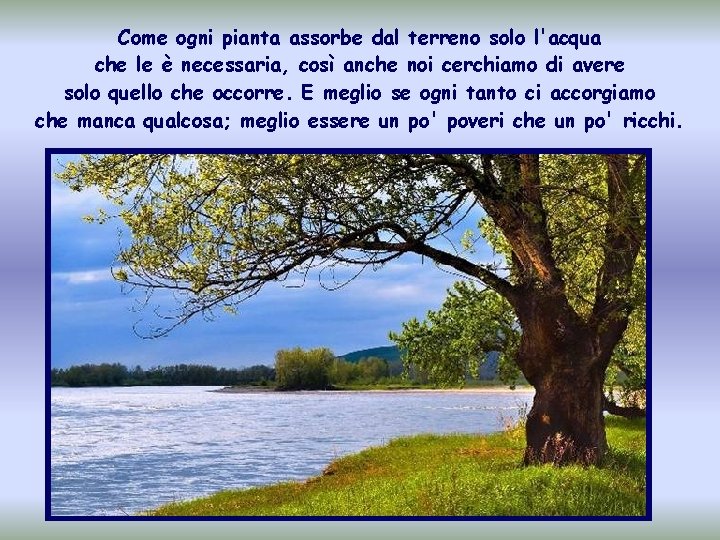 Come ogni pianta assorbe dal terreno solo l'acqua che le è necessaria, così anche