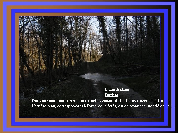 Clapotis dans l’ombre Dans un sous-bois sombre, un ruisselet, venant de la droite, traverse