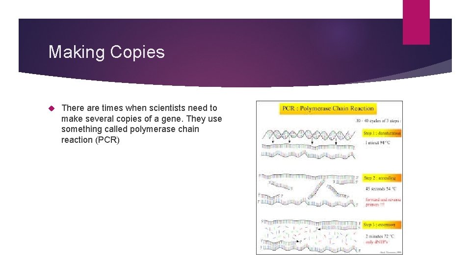 Making Copies There are times when scientists need to make several copies of a