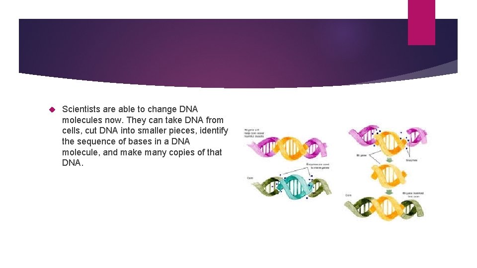  Scientists are able to change DNA molecules now. They can take DNA from