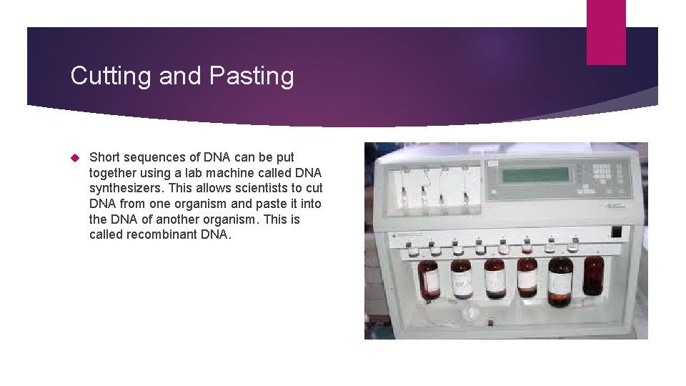 Cutting and Pasting Short sequences of DNA can be put together using a lab