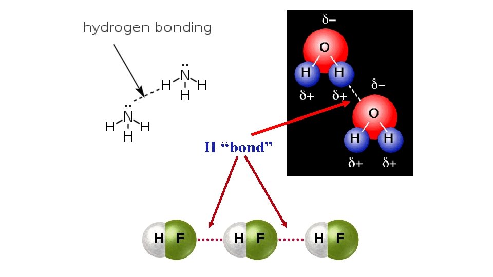 H “bond” H F H F 