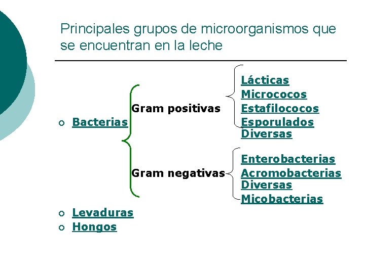 Principales grupos de microorganismos que se encuentran en la leche Gram positivas ¡ Bacterias