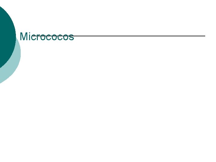 Micrococos 