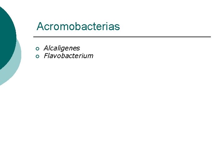 Acromobacterias ¡ ¡ Alcaligenes Flavobacterium 