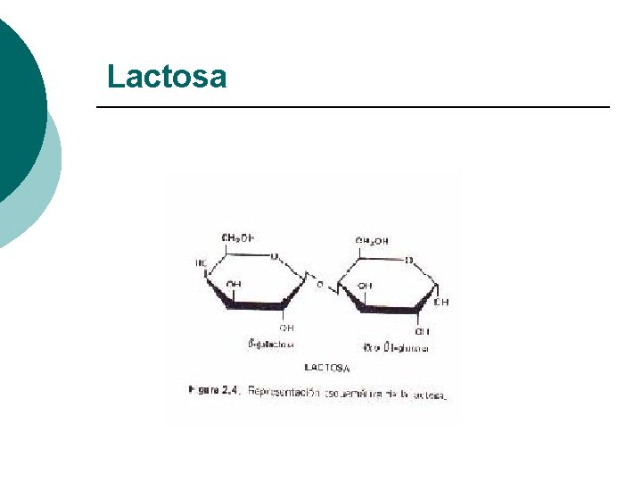 Lactosa 