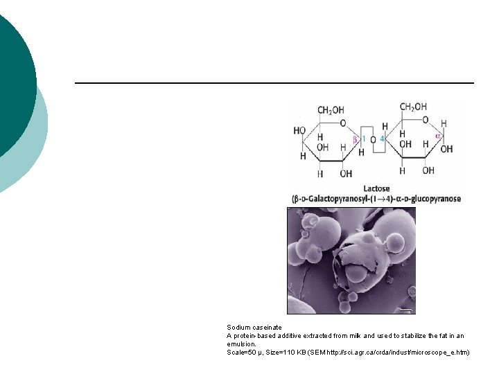 Sodium caseinate A protein-based additive extracted from milk and used to stabilize the fat