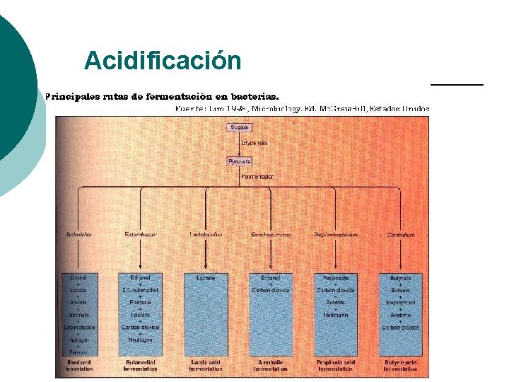 Acidificación 