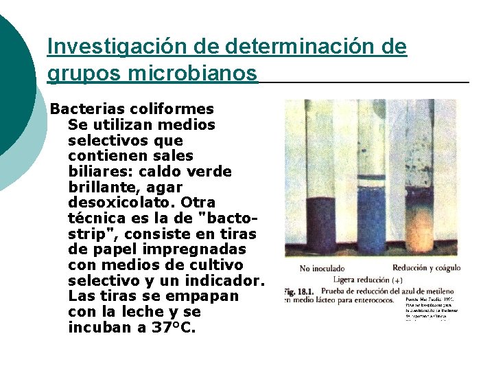 Investigación de determinación de grupos microbianos Bacterias coliformes Se utilizan medios selectivos que contienen