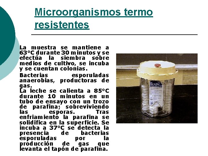 Microorganismos termo resistentes La muestra se mantiene a 63°C durante 30 minutos y se