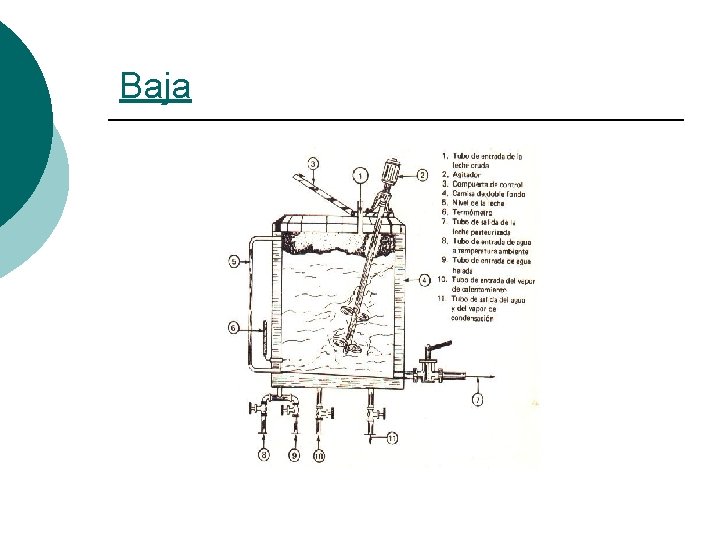 Baja 