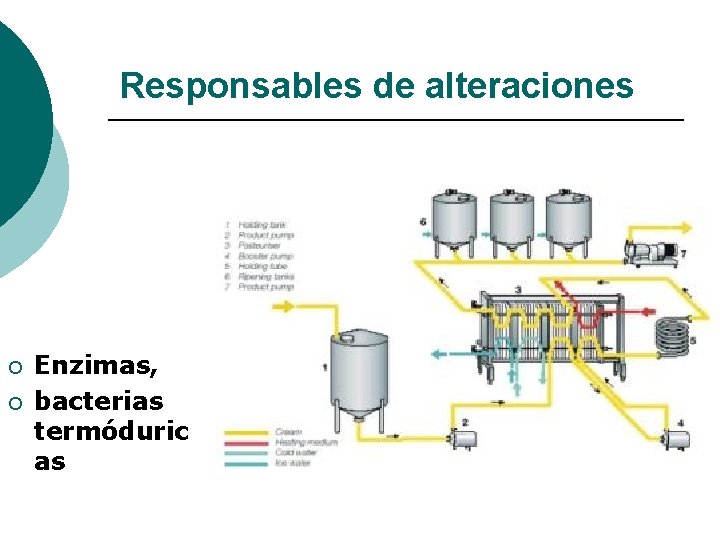 Responsables de alteraciones ¡ ¡ Enzimas, bacterias termóduric as 